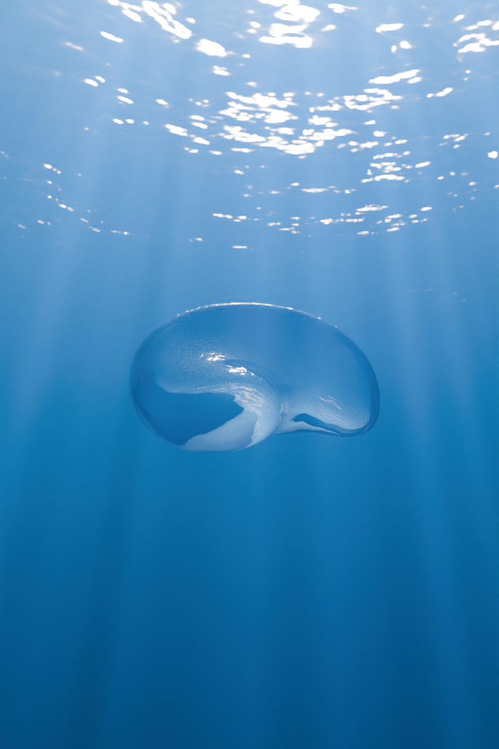 A strongly deformed underwater bubble from the Enright test sequence